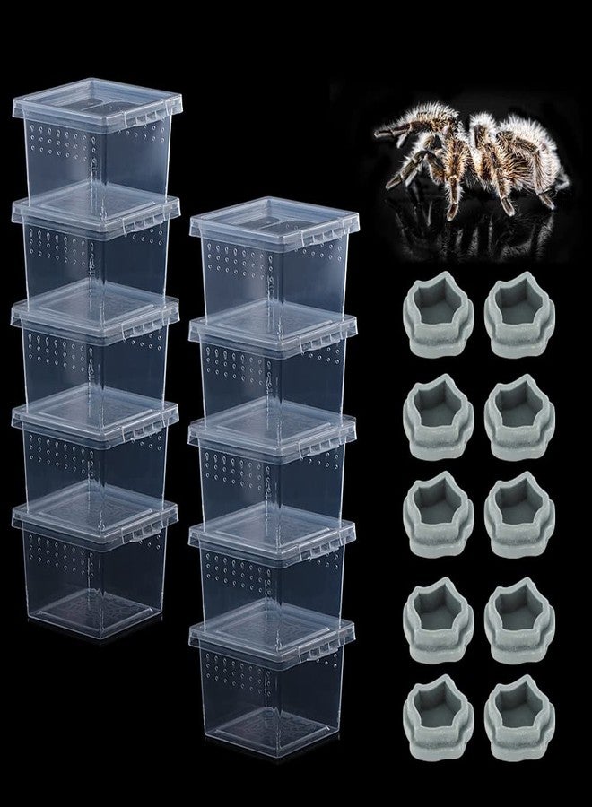 DQITJ 10 Pack Small Size Spider Terrariums Breeding Box Hatching Container Insect Scorpion Centipede Acrylic Breeding Box (with 10 Pcs Micro Water Bowl - Image 1